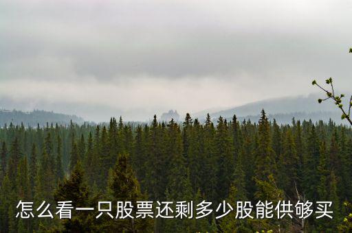 怎么看一只股票还剩多少股能供够买