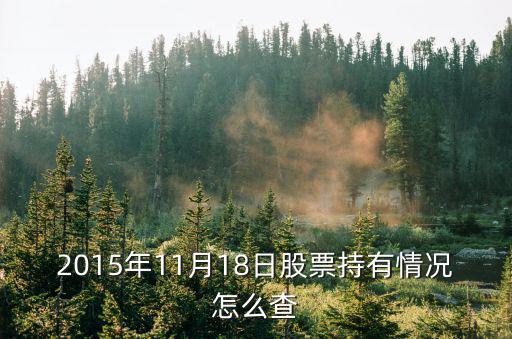 什么股票可以持有18年，2015年11月18日股票持有情况怎么查