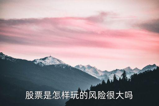股票是怎样玩的风险很大吗