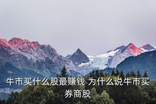 牛市买什么股最赚钱 为什么说牛市买券商股