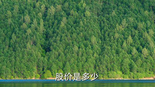 股价是多少