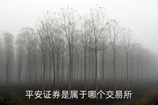 平安证券是属于哪个交易所