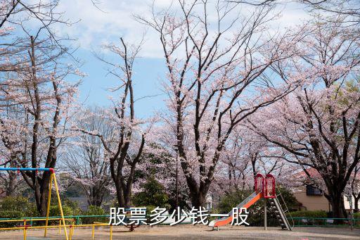 股票多少钱一股