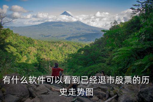 有什么软件可以看到已经退市股票的历史走势图
