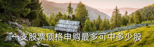 一支股票顶格申购最多可中多少股