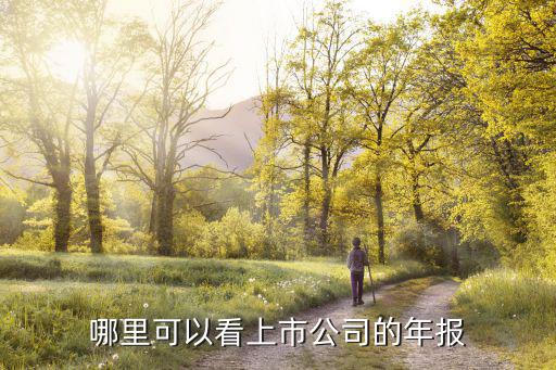 什么软件专业看股票年报，看年报用什么程序软件
