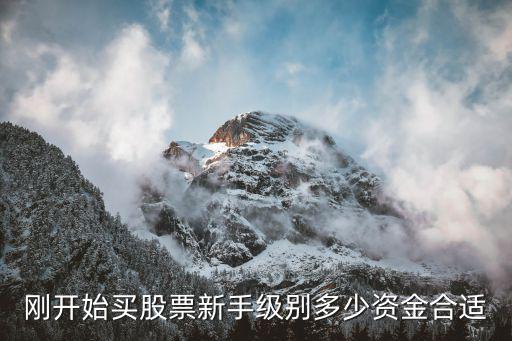 投资股票投多少合适，我是新手股票最少需要投多少钱