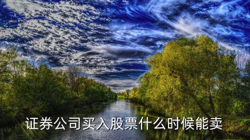 证券公司买入股票什么时候能卖