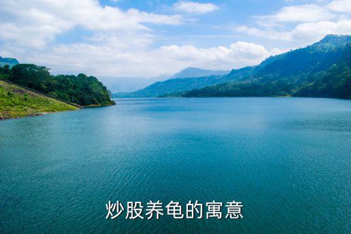 炒股养龟的寓意
