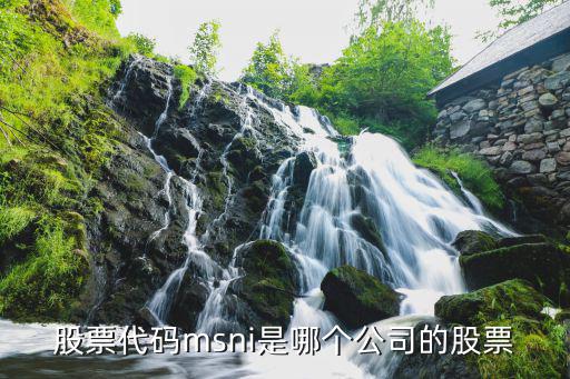 股票代码msni是哪个公司的股票