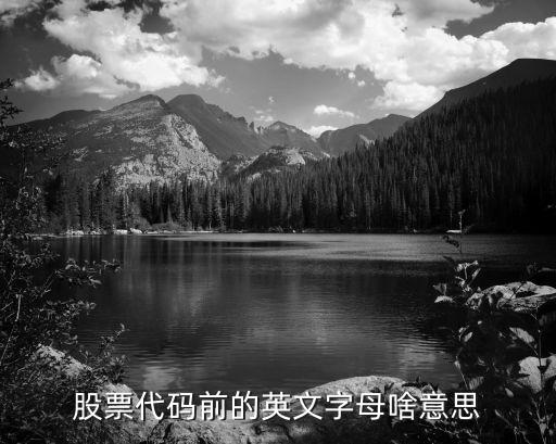 股票代码前的英文字母啥意思