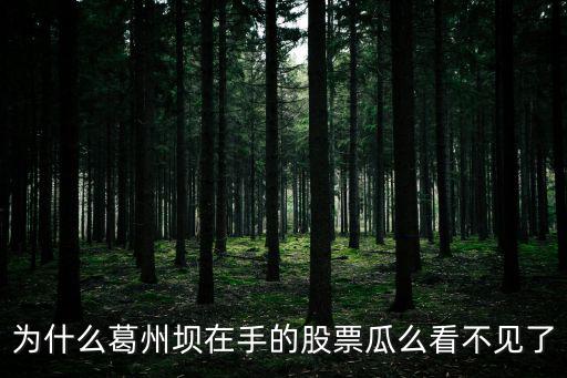 为什么葛州坝在手的股票瓜么看不见了