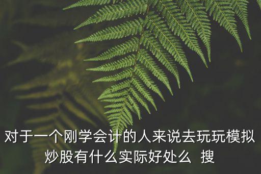 对于一个刚学会计的人来说去玩玩模拟炒股有什么实际好处么 搜