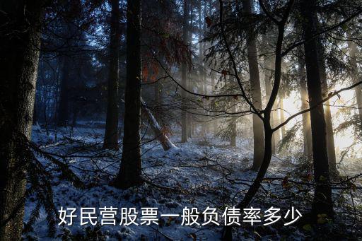 好民营股票一般负债率多少