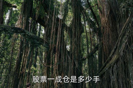 股票买了多少倍加仓，股票买卖中仓位如何计算
