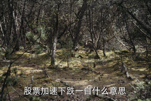 股票加速下跌一自什么意思