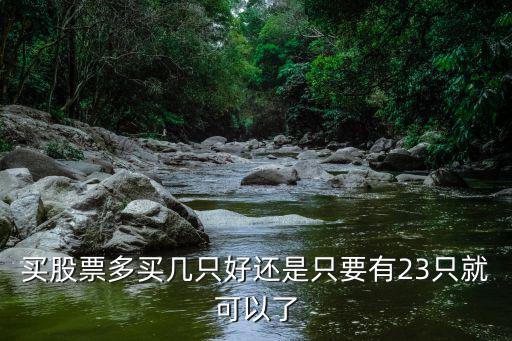 买股票多买几只好还是只要有23只就可以了
