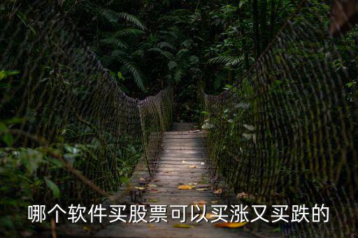 哪个软件买股票可以买涨又买跌的