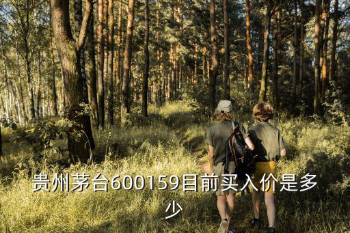 贵州茅台600159目前买入价是多少