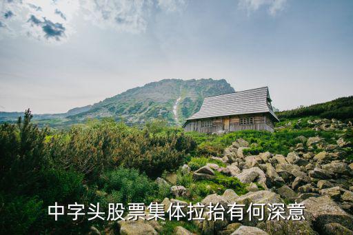 中字头股票集体拉抬有何深意