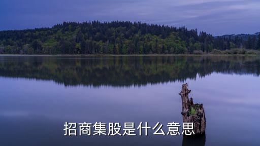 招商集股是什么意思