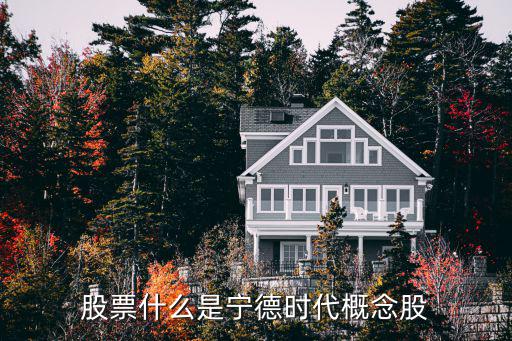 股票什么是宁德时代概念股