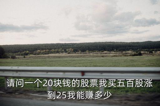 请问一个20块钱的股票我买五百股涨到25我能赚多少