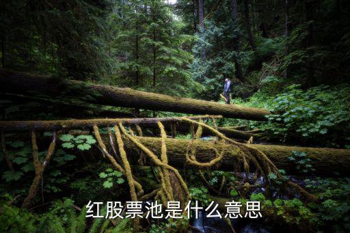 股票入池 什么意思，经常说的股票池是什么意思