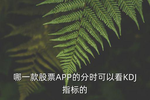 分时看什么股票好，哪一款股票APP的分时可以看KDJ指标的