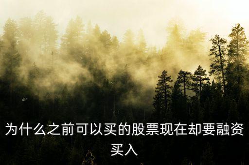 为什么之前可以买的股票现在却要融资买入