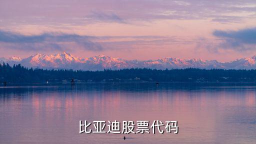 比亚迪股票代码