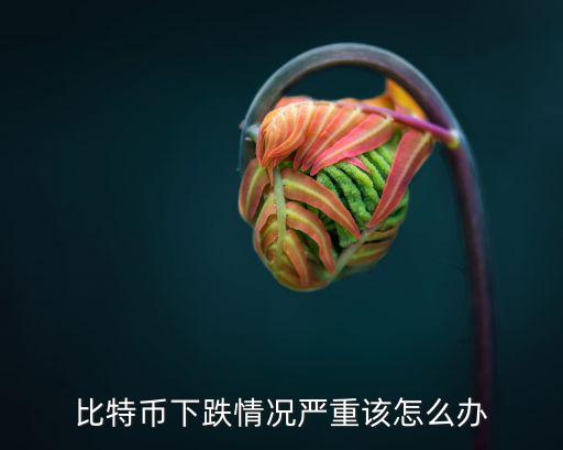 比特币下跌情况严重该怎么办