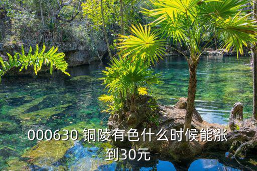 000630 铜陵有色什么时候能涨到30元