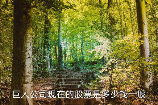 巨人网络回购多少股票，51com被巨人网络收购了多少股权