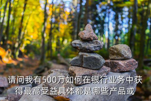 500万买什么银行股票，我是新手 想买股票 听别人说银行股风险小但是应该买哪家银行的股