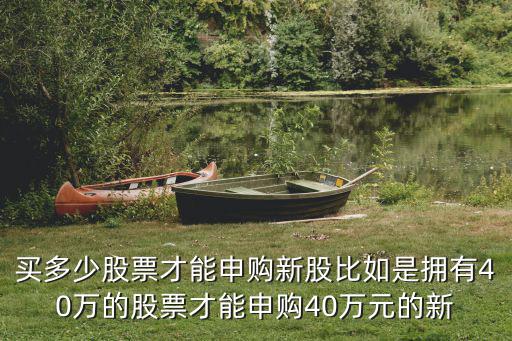 买多少股票才能申购新股比如是拥有40万的股票才能申购40万元的新