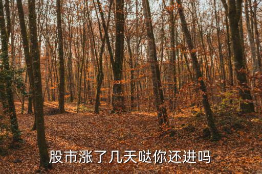 股票涨多少不能买进去，股票涨停了可不可以买