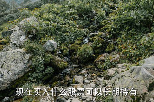 现在买入什么股票可以长期持有