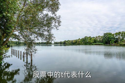 股票中的t代表什么