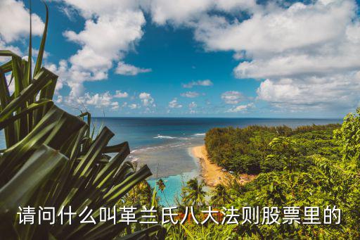 请问什么叫革兰氏八大法则股票里的