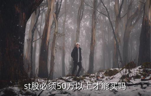 什么资格可以买st股票，新开户可以买st带星股吗