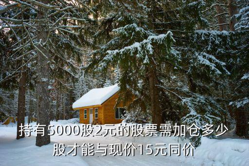 持有5000股2元的股票需加仓多少股才能与现价15元同价
