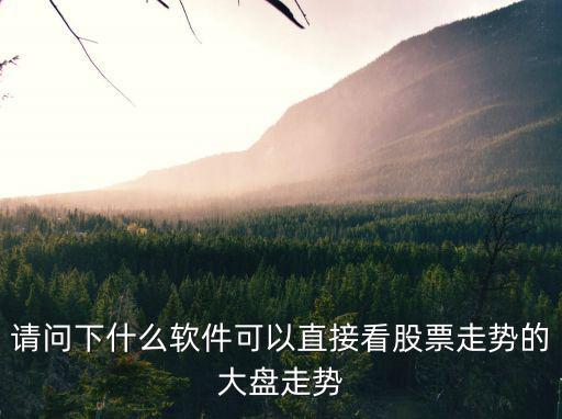 请问下什么软件可以直接看股票走势的大盘走势