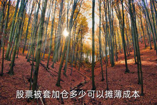 股票被套加仓多少可以摊薄成本