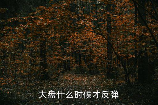 股票大盘反弹周期是多少，大盘能反弹多久