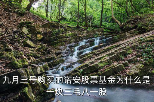 九月三号购买的诺安股票基金为什么是一块三毛八一股