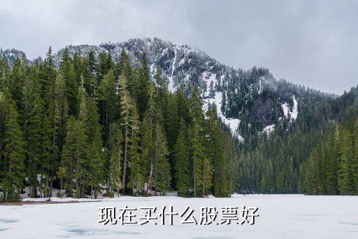 现在买什么股票好