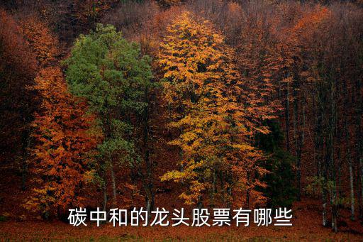 碳中和的龙头股票有哪些
