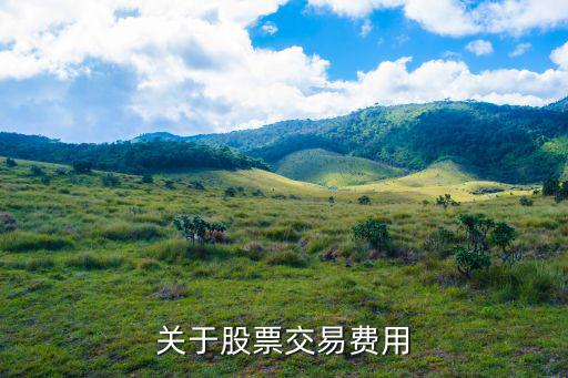关于股票交易费用