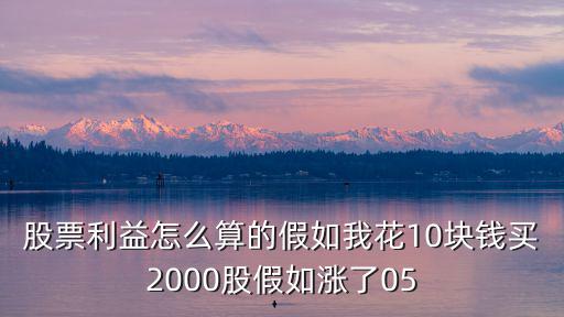股票利益怎么算的假如我花10块钱买2000股假如涨了05